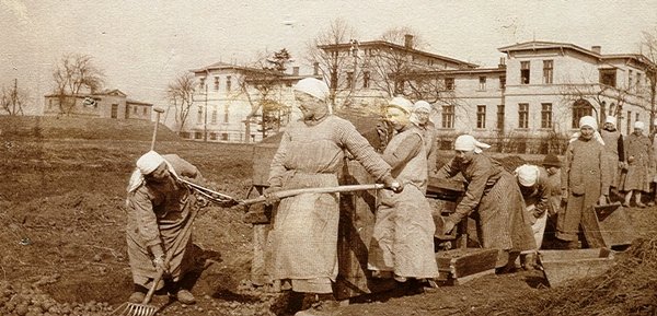 1927 Praca na polu, Pniewy